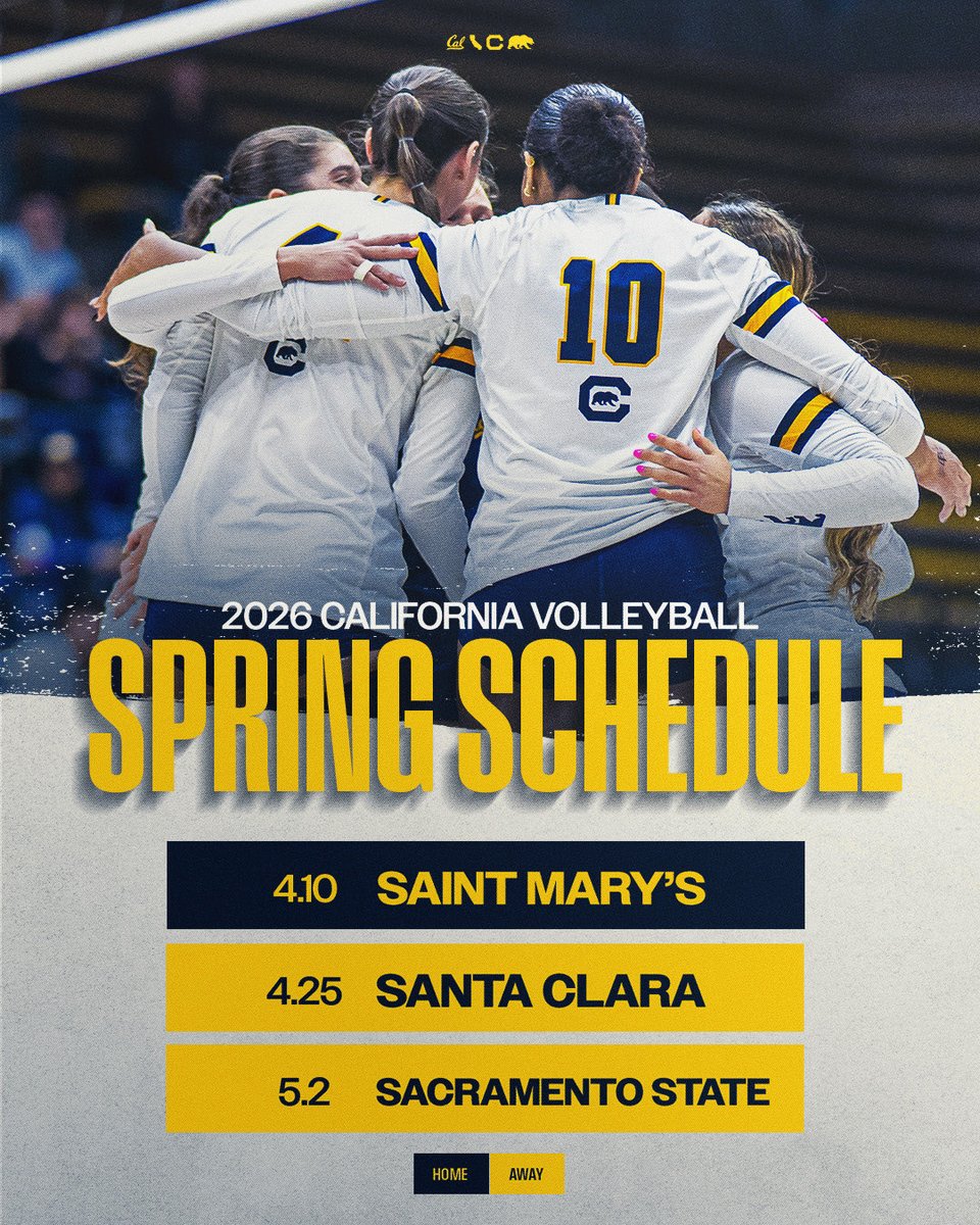 Cal Volleyball tweet media
