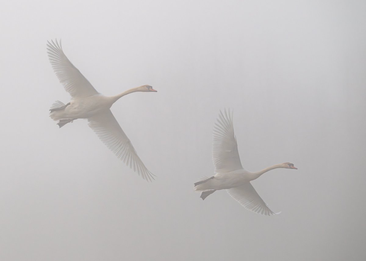 Brian Gallagher tweet media