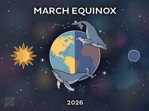 Geocaching tweet media