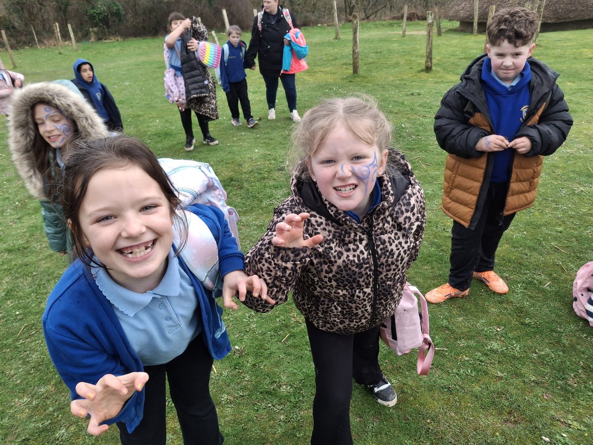 Cwmrhydyceirw Primary tweet media