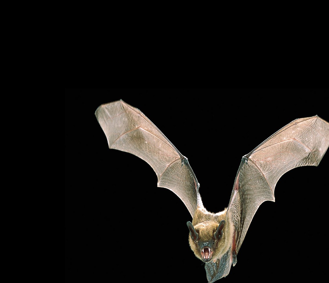 Sad Origami tweet media