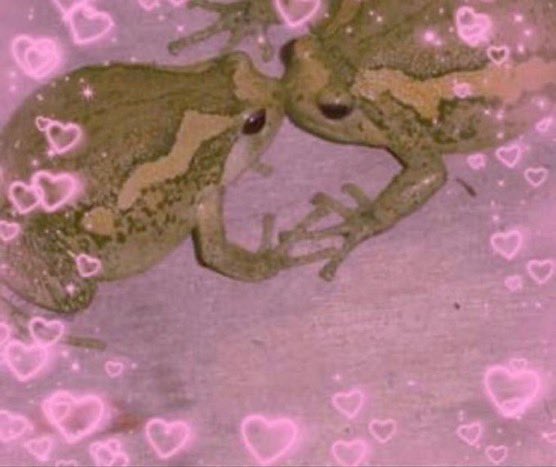 Little_Frog_Town tweet media