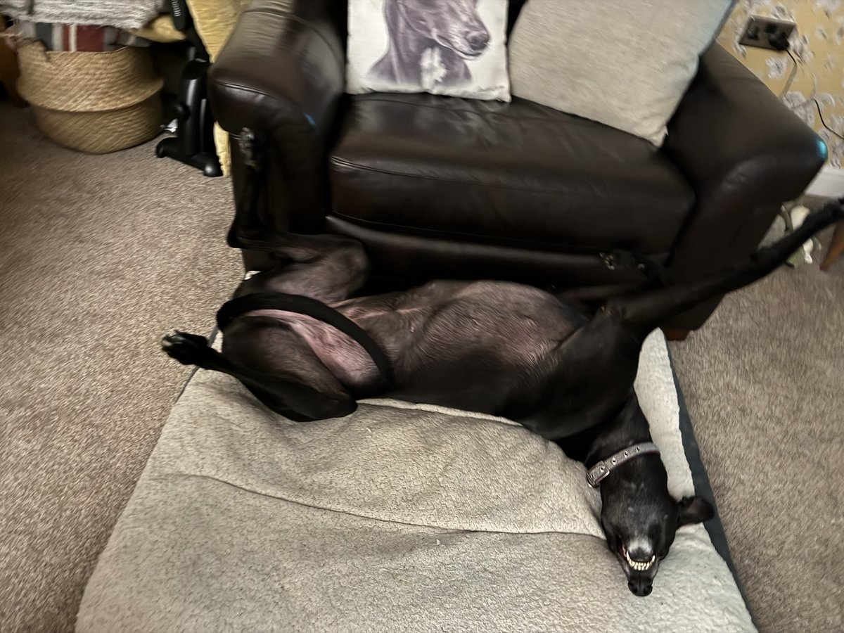 TheMoustacheCop tweet media