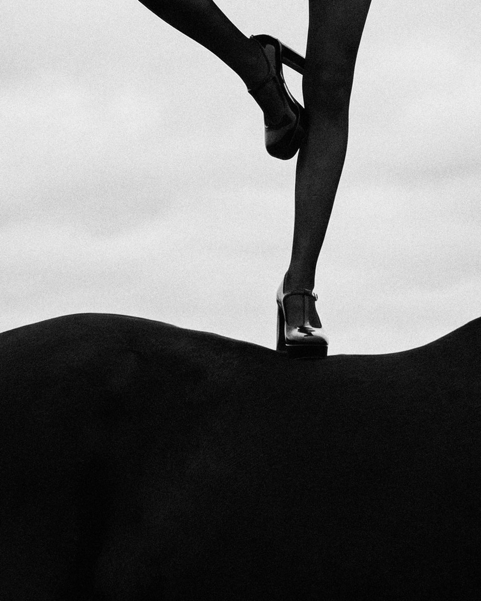 Alexander Zabegin tweet media