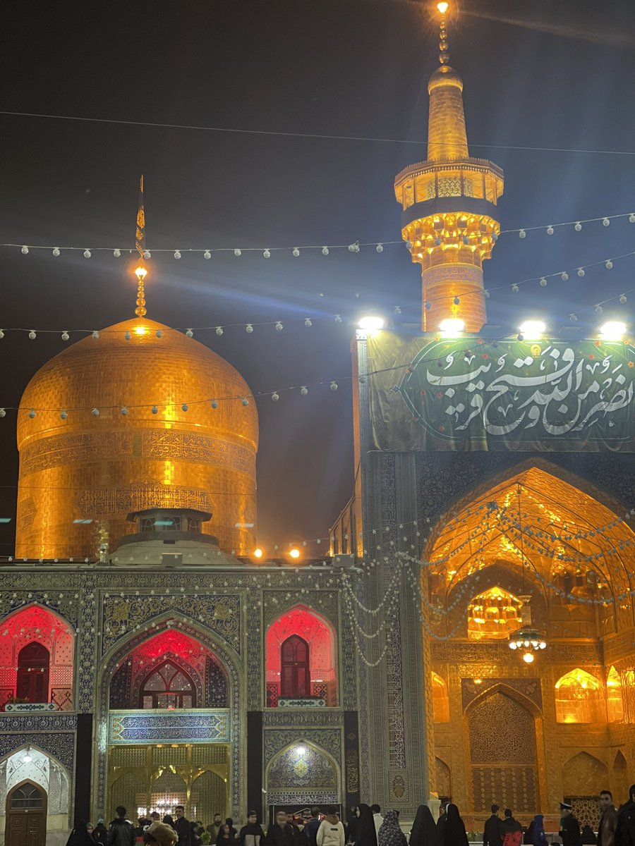 حمید صادقی tweet media