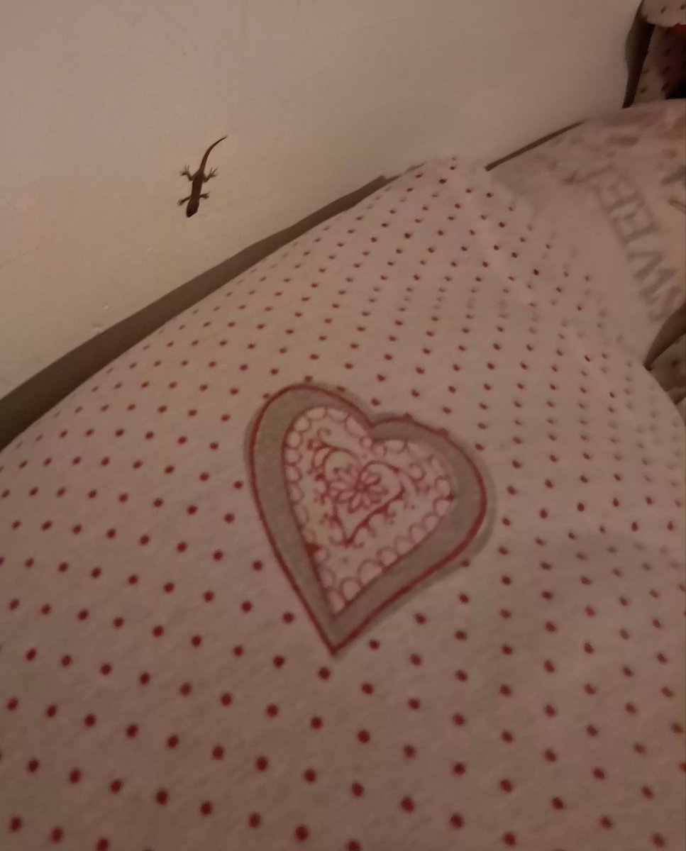 Došla kući i gledam kakva je ovo pukotina na zidu jbt danas nije bila tu 😩

kad ono bebi 🦎