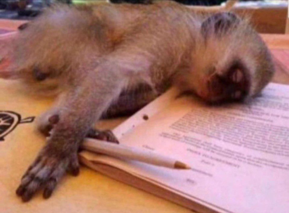 TOMARTIAL tweet media