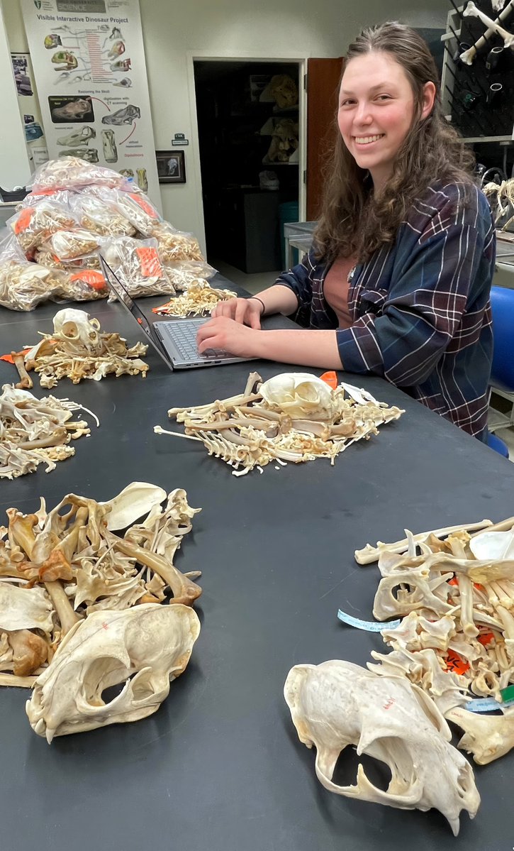 WitmerLab tweet media