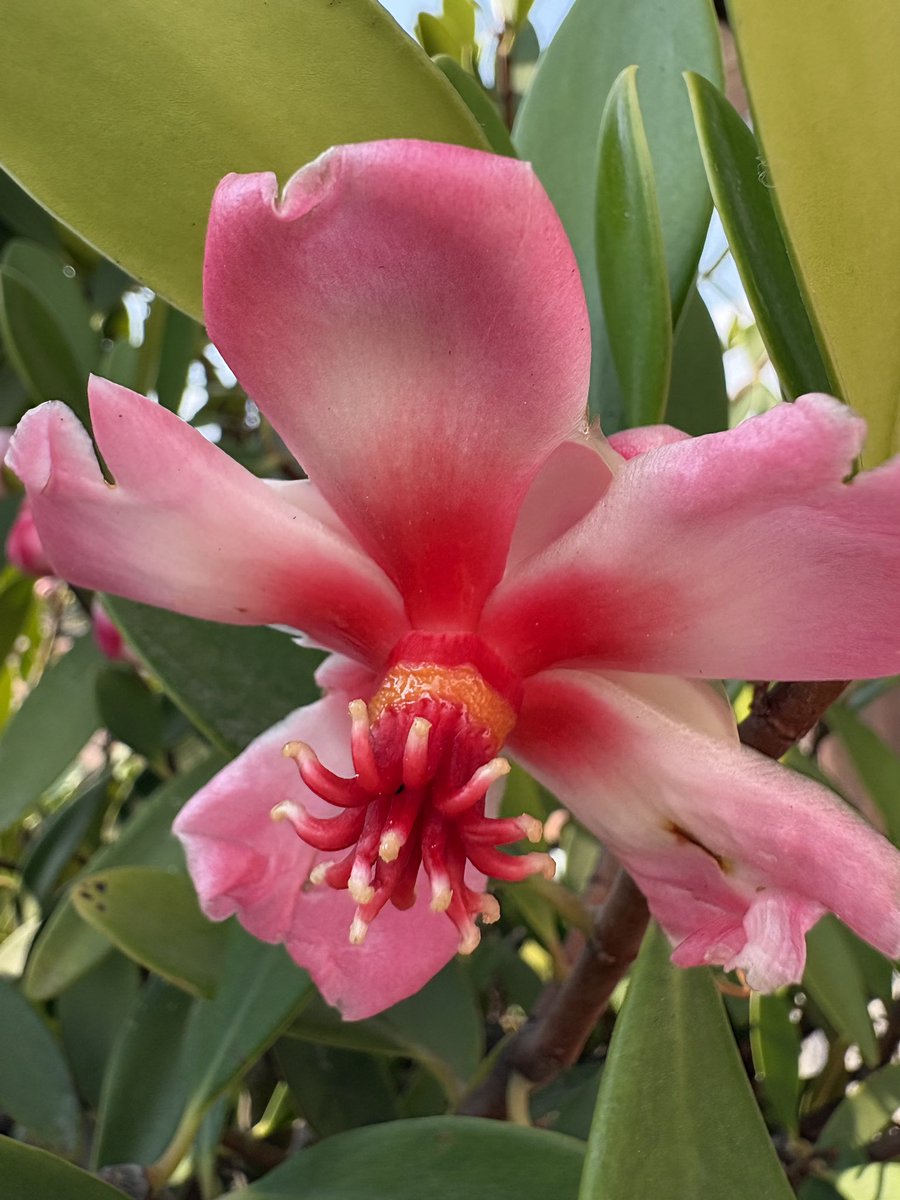 Georgia Parsons on a journey..aren’t we all! 🫐 tweet media