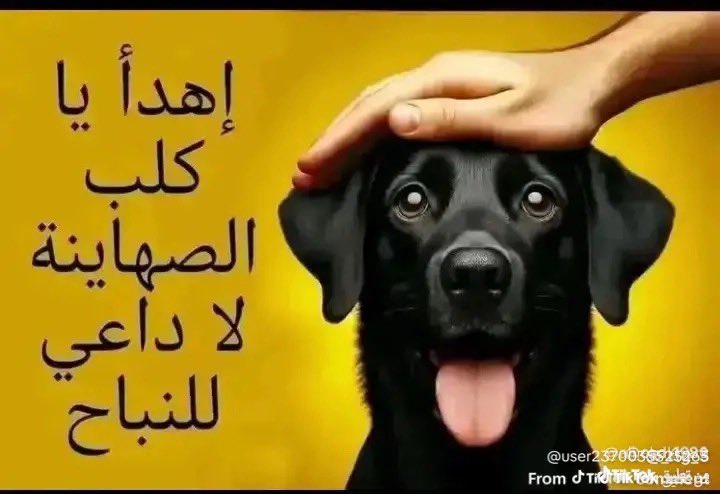ABaism77's tweet photo. @FAHD44747 https://t.co/ESUnjPi3vM