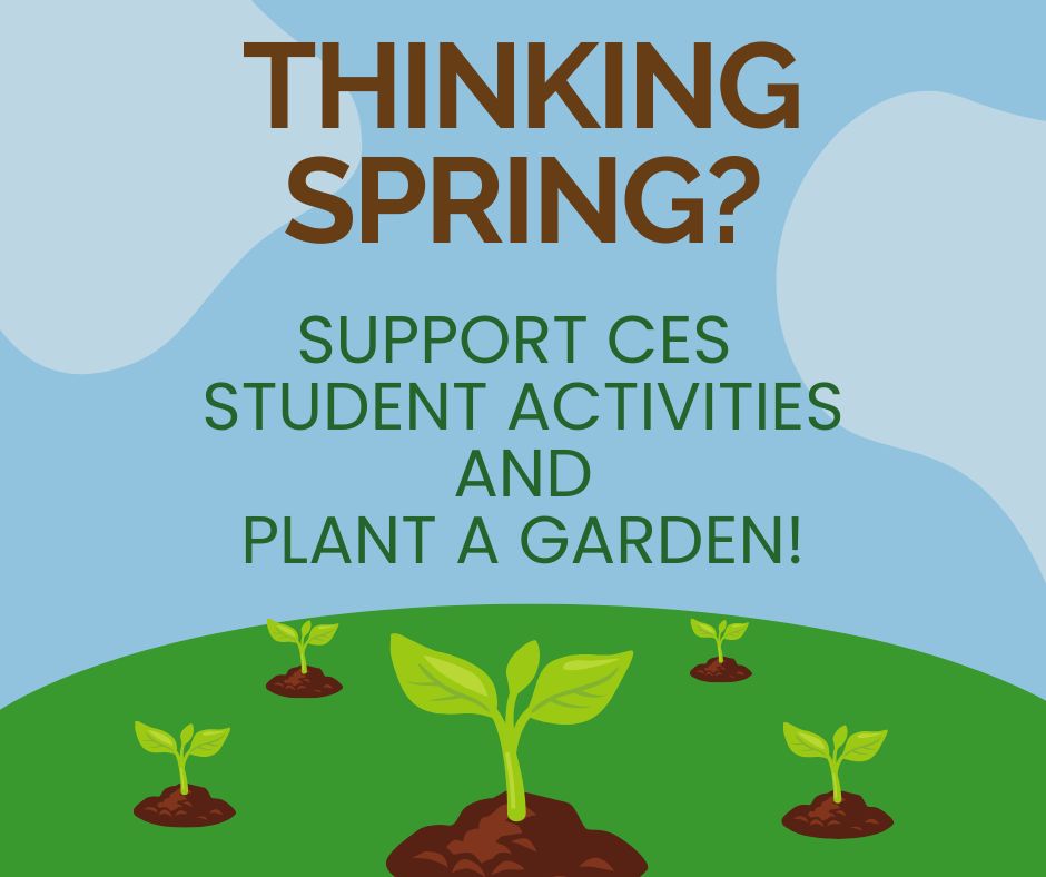 Cambridge Elementary School tweet media