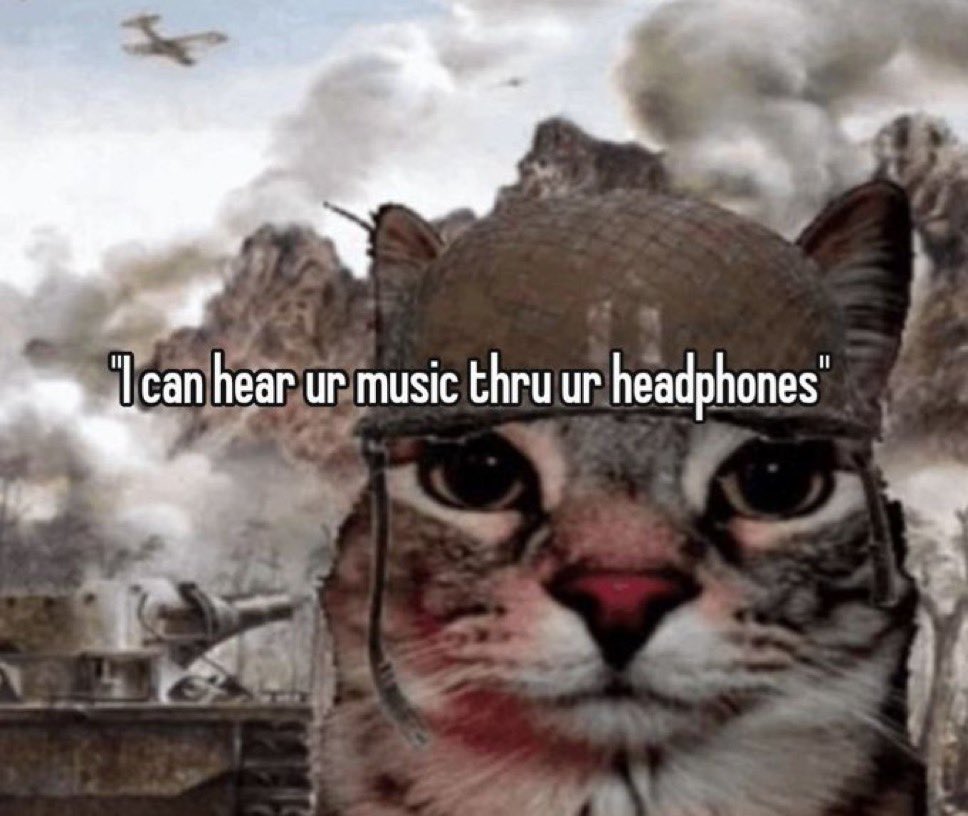 LiterallyMeCats tweet media