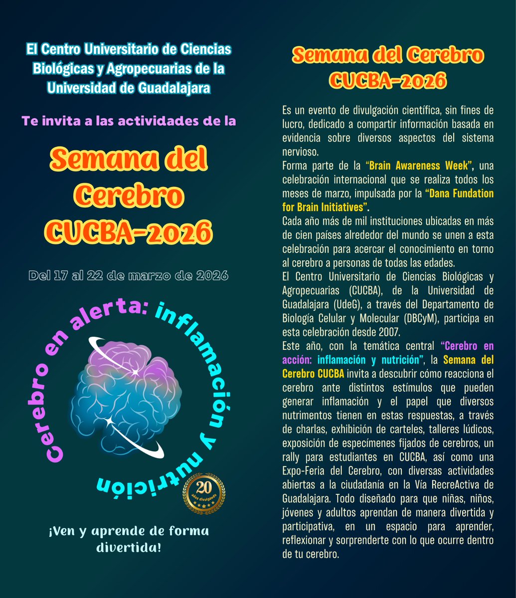 CAMELICE México tweet media