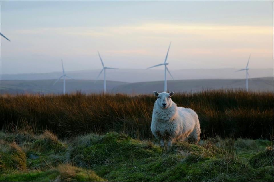 MENAFN's tweet image. Plaid Cymru Plans To Share Wind Farm Profits With Local People Here's How That Idea Has Been Tried Elsewhere #Plaid #Cymru #Plans #Share #Wind #Farm #Profits #Local #People #Here's #That #Idea #Been #Tried #Elsewhere #Food #Flowers #Storm #Climate… dlvr.it/TRLKhf