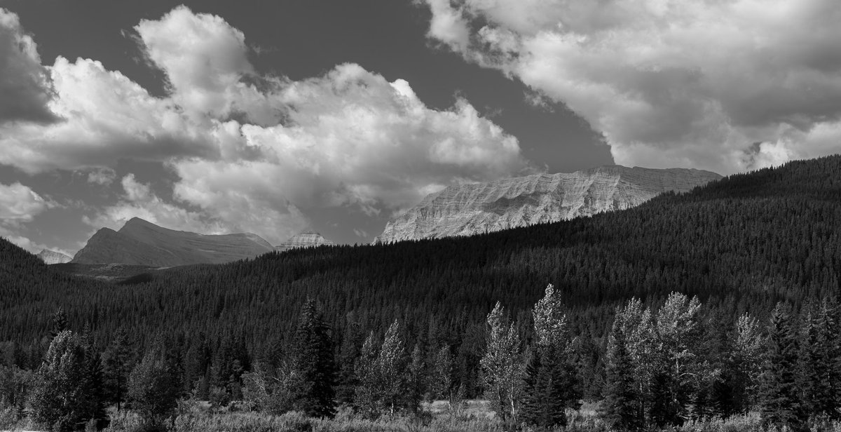 Guile53412 tweet media