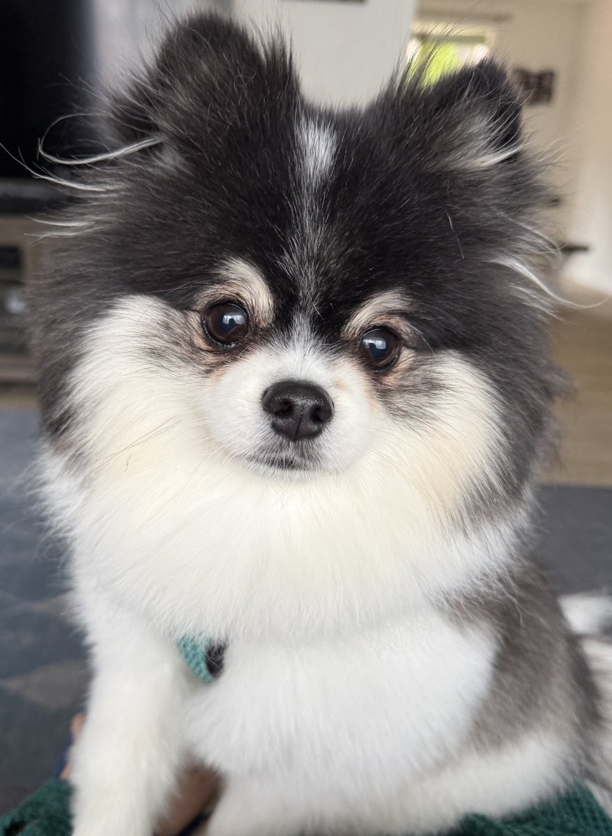 Happy Friday. Here’s Kaiju