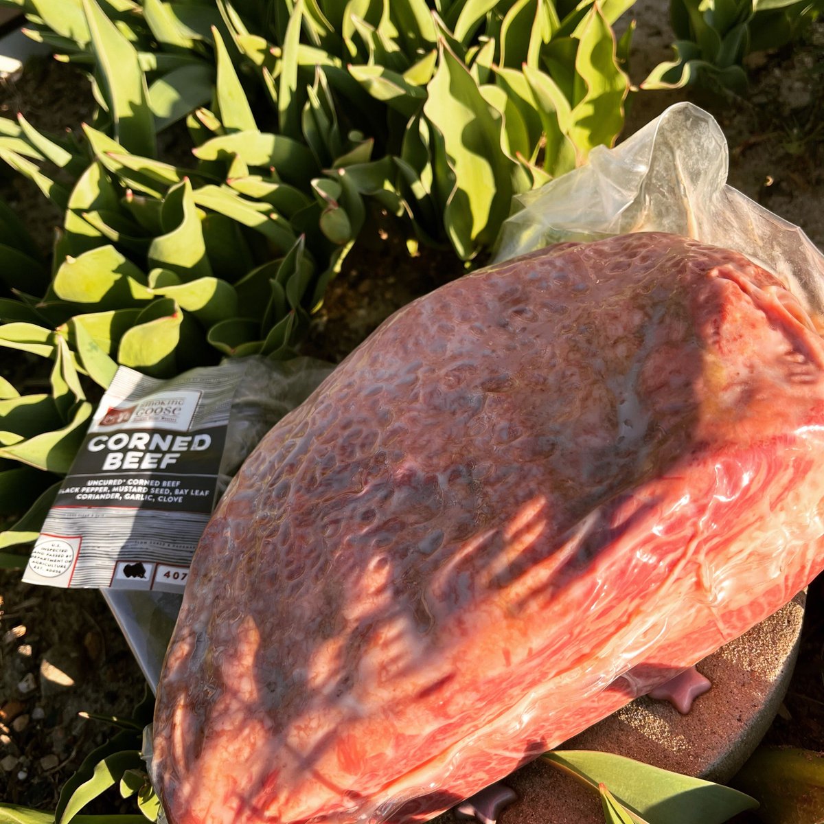 Goose the Market tweet media