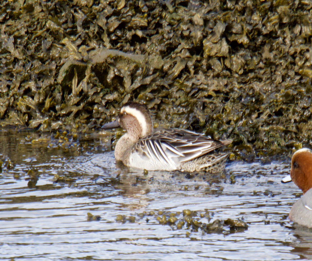 Tim Ridgeway tweet media