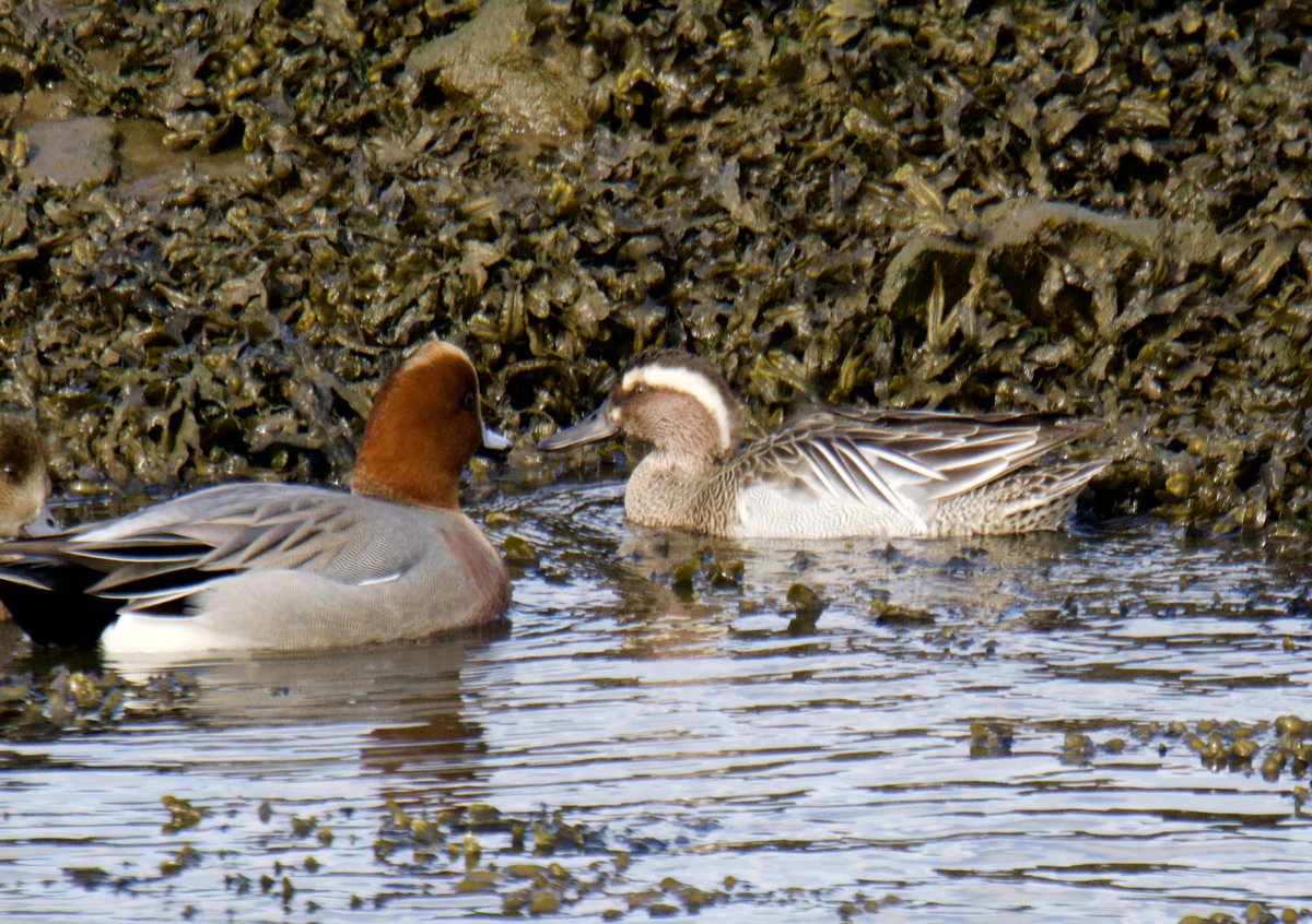 Tim Ridgeway tweet media