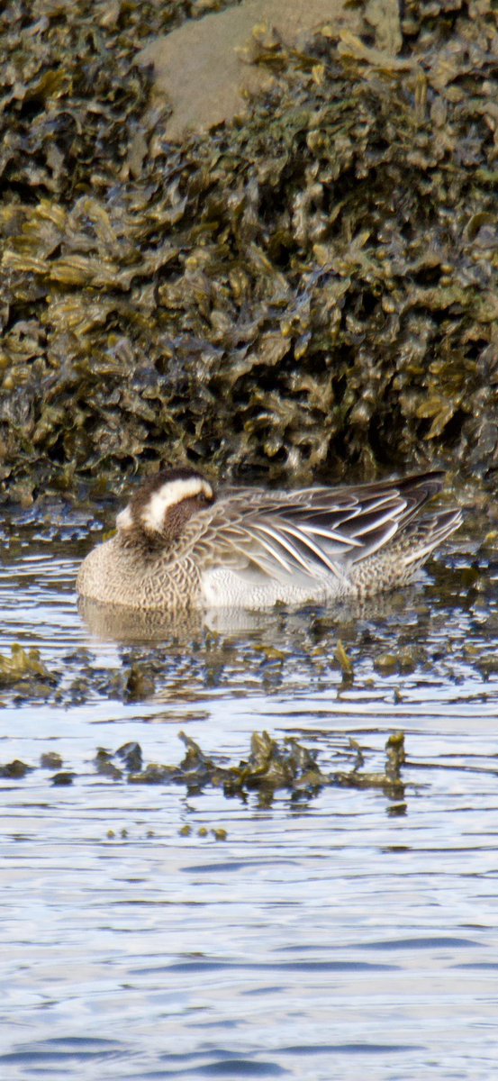 Tim Ridgeway tweet media