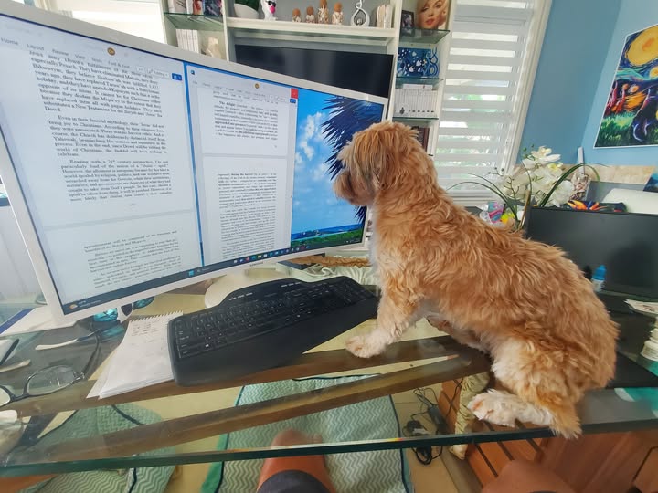 Craig Winn tweet media