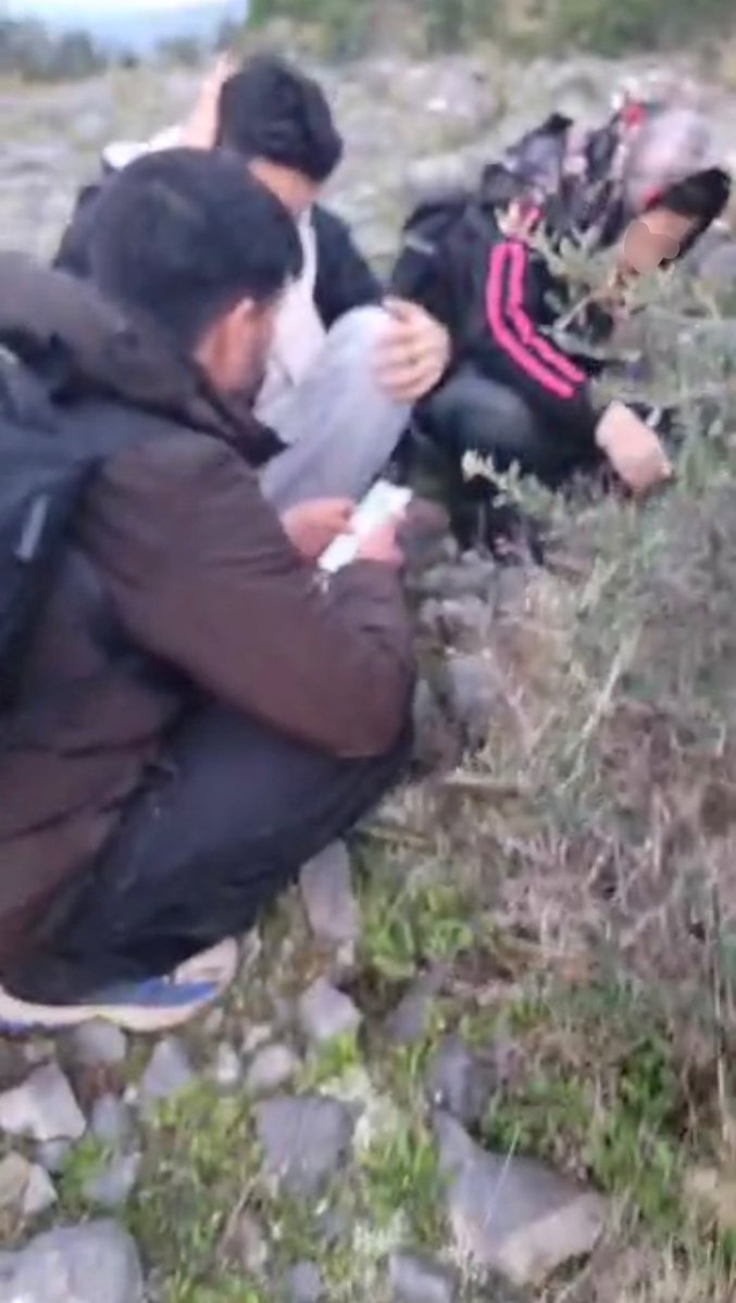 Aegean Boat Report tweet media