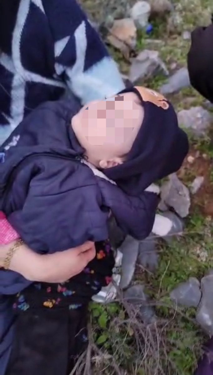 Aegean Boat Report tweet media