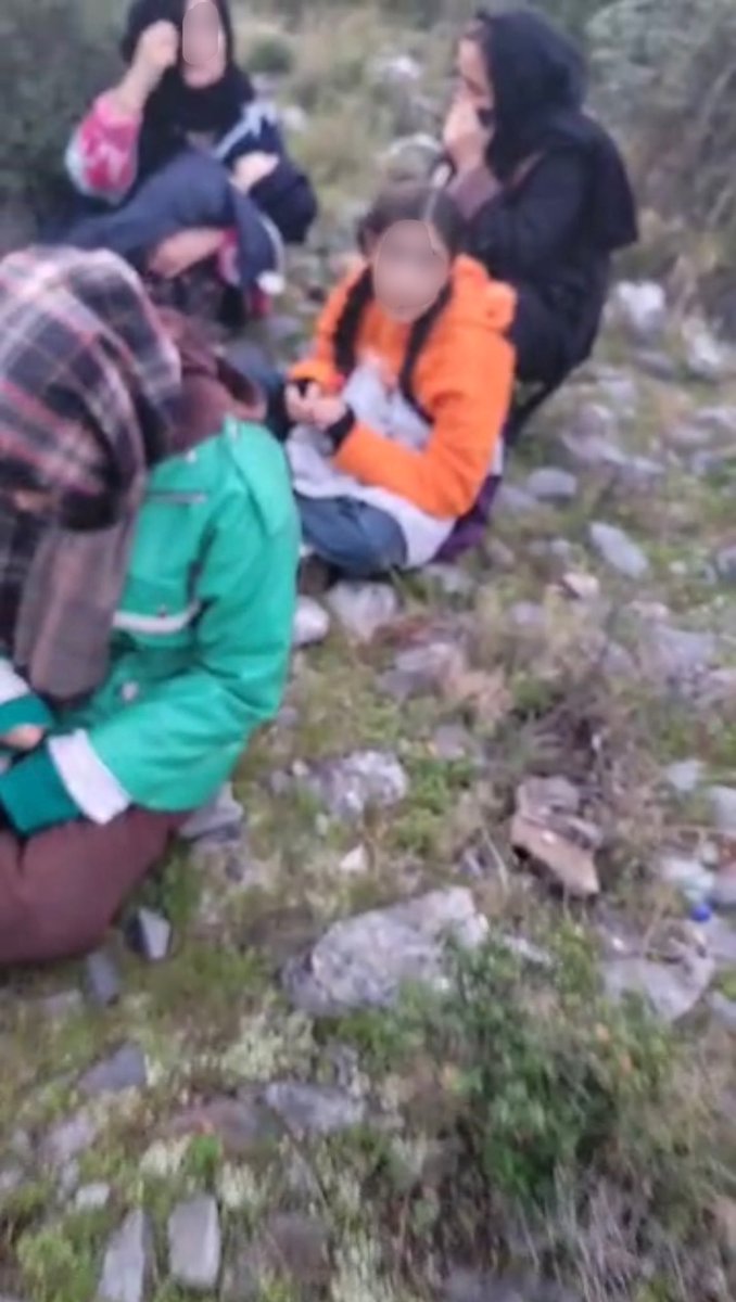 Aegean Boat Report tweet media