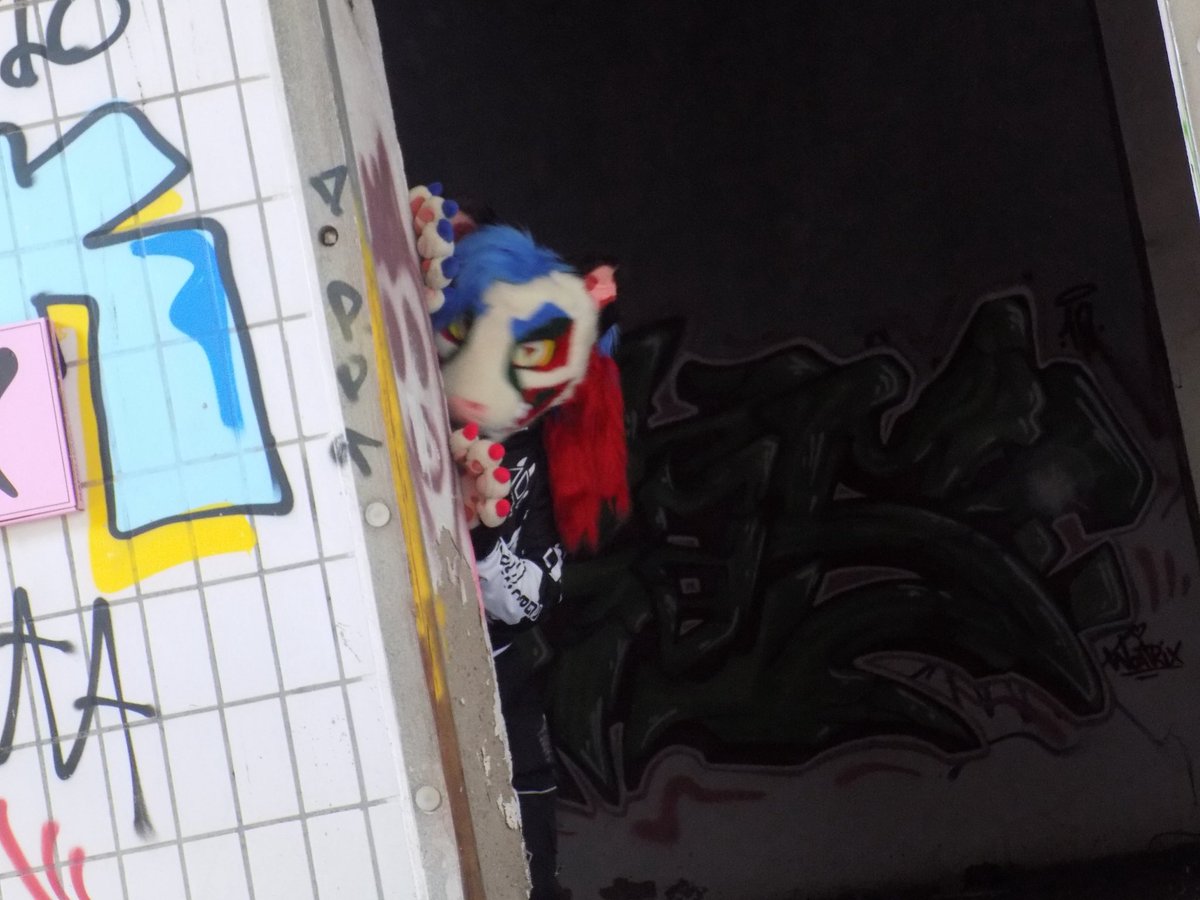 GarciGreen's tweet photo. Hey what's up? Are you lost? I think you're in the wrong place 😈
📷: @/funu_the_funus (instagram)
#Furry #FursuitFriday #Genetta #Urbex #Clown https://t.co/DnE4FlEbRd