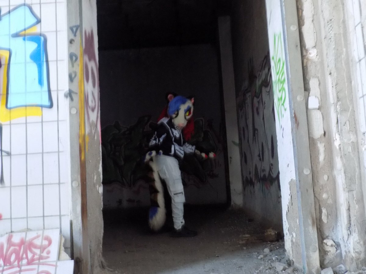 GarciGreen's tweet photo. Hey what's up? Are you lost? I think you're in the wrong place 😈
📷: @/funu_the_funus (instagram)
#Furry #FursuitFriday #Genetta #Urbex #Clown https://t.co/DnE4FlEbRd