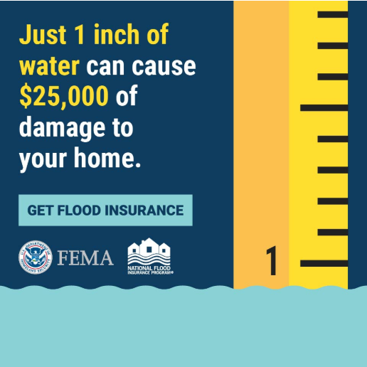 NWS Gray tweet media