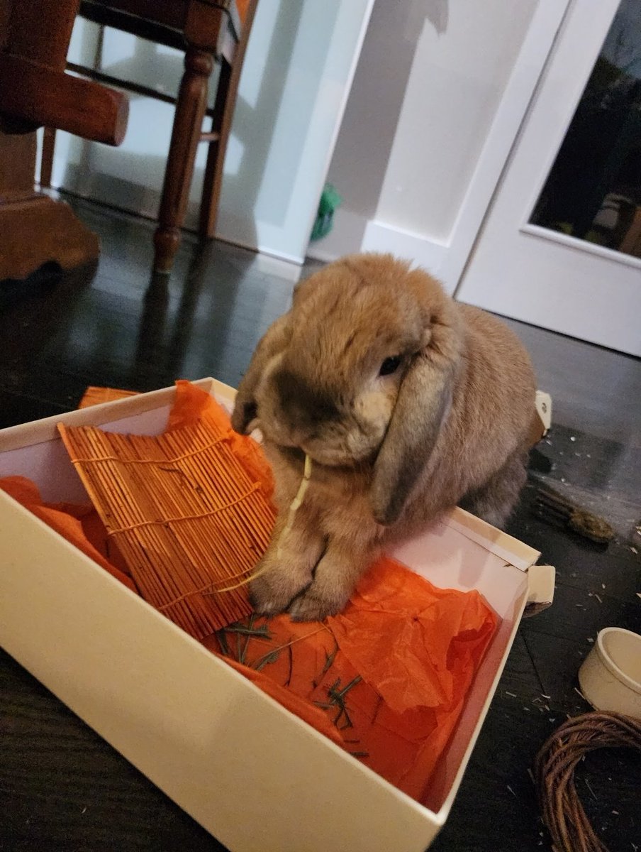 ♡ excess ✨ tweet media