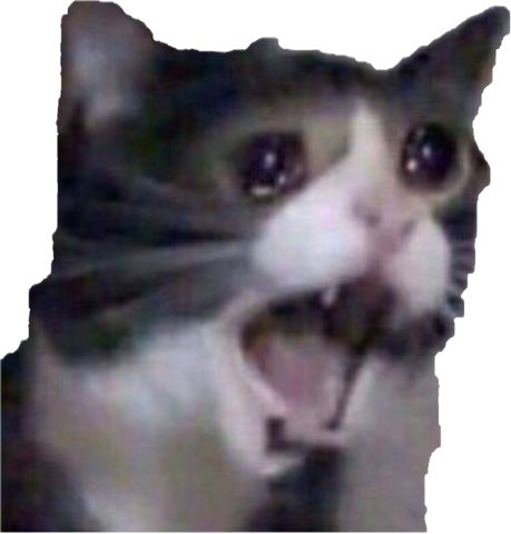 BloodMayker107 tweet media