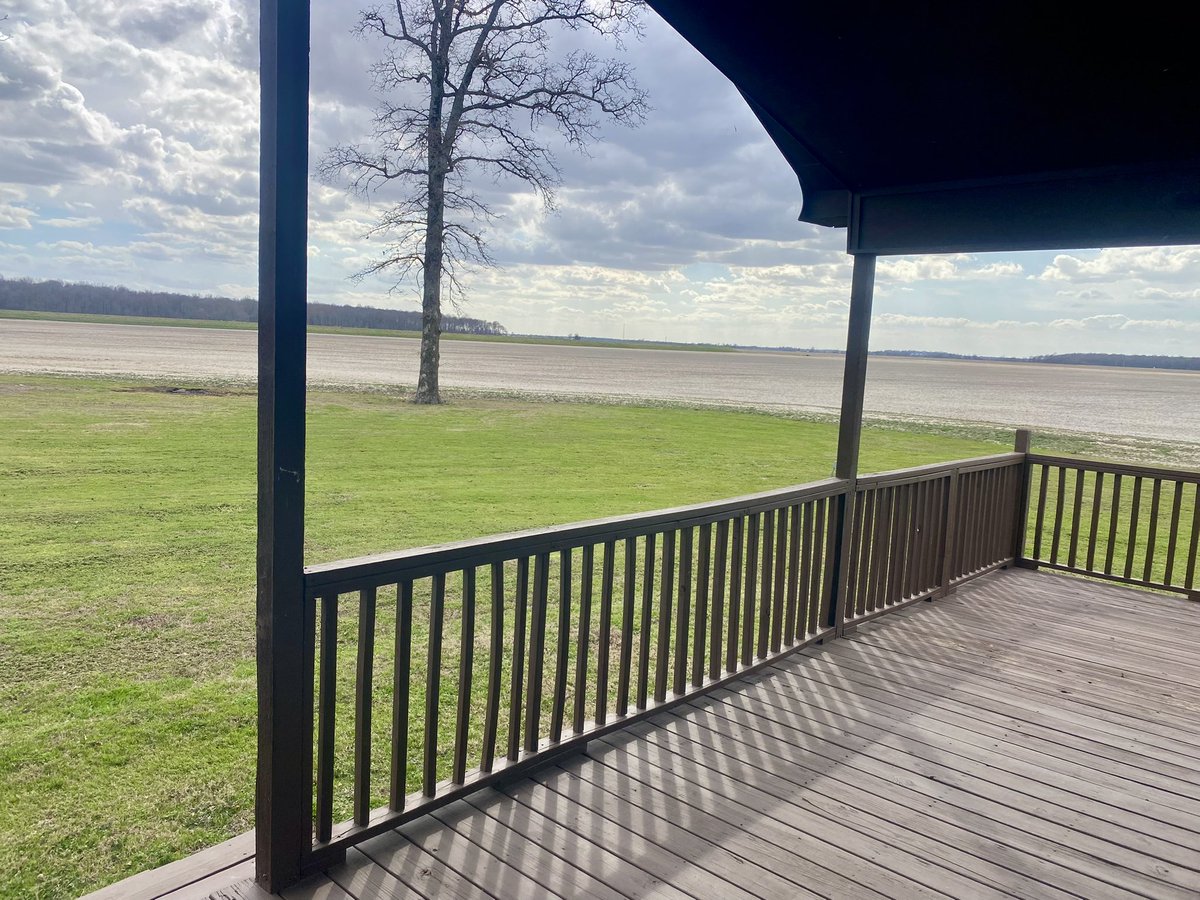 March 6th, 81 degrees you mow the yard 😳