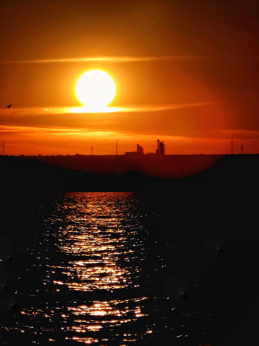 Day 65/356
🌄
#ShotOnSnapdragon
#BalancedBeauty 
#ShotOnRealme
<a href="/Snapdragon/">Snapdragon</a>
<a href="/Snapdragon_UK/">Snapdragon UK</a> 
<a href="/Snapdragon_DE/">Snapdragon DE</a>
<a href="/Snapdragon_FR/">Snapdragon FR</a>
<a href="/gregcroc/">Greg</a>
<a href="/SnapdragonCarla/">SnapdragonCarla</a>