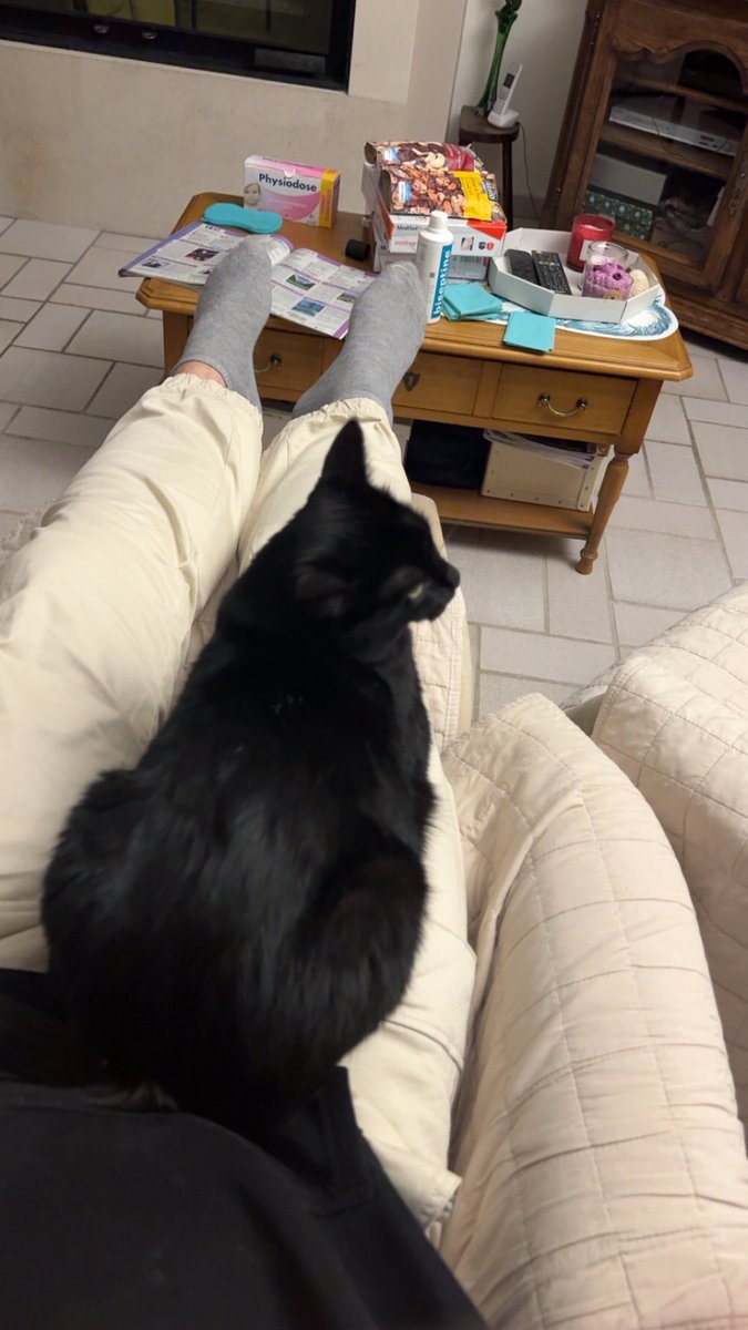 czarvale🇵🇱 tweet media