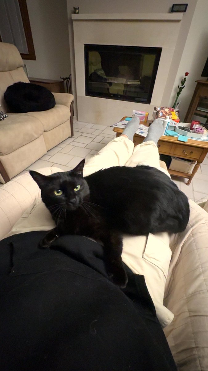 czarvale🇵🇱 tweet media