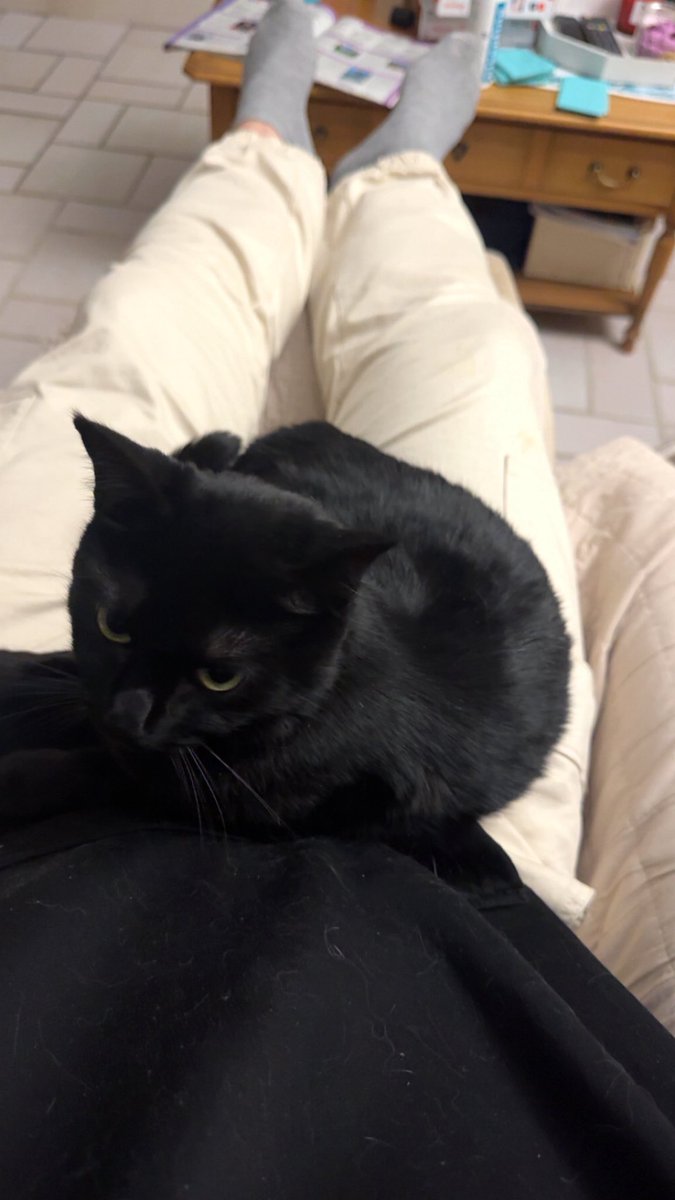 czarvale🇵🇱 tweet media