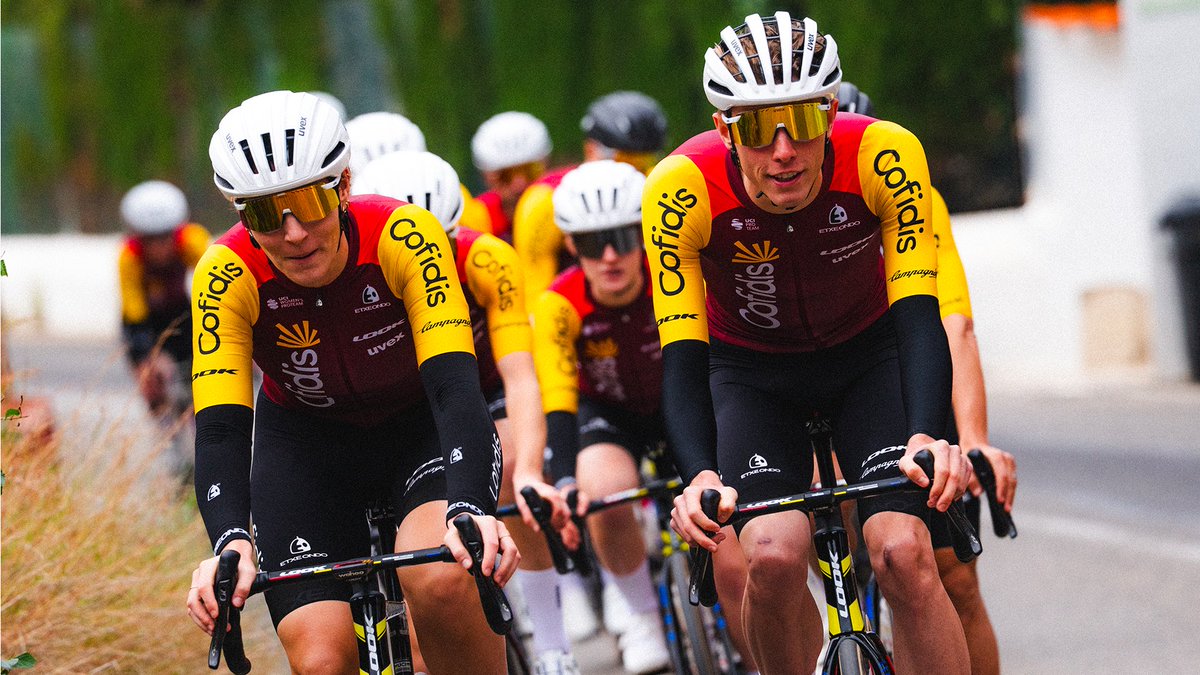 LOOK Cycle tweet media