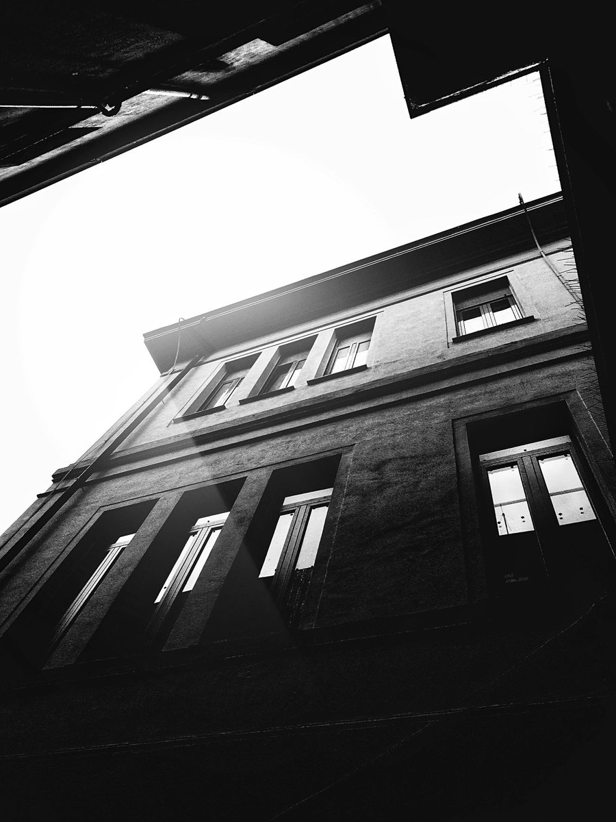 A_Sapphireh's tweet photo. #blackandwhite #photography  #contrasts
📸A.S https://t.co/gctB3penqx