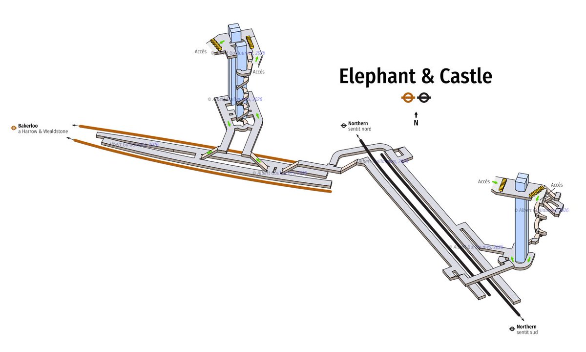 Albert Guillaumes Marcer 🏳️‍🌈 tweet media