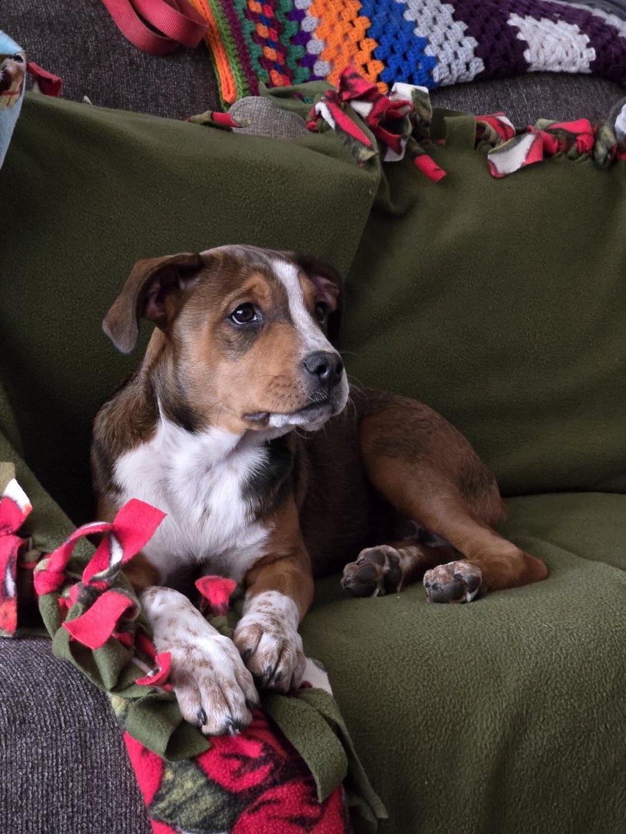 Michael Addis tweet media