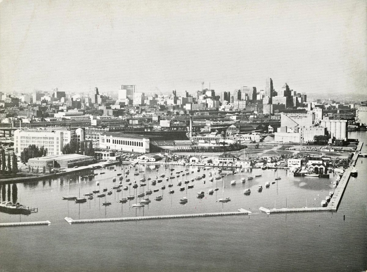 Bert Xanadu tweet media