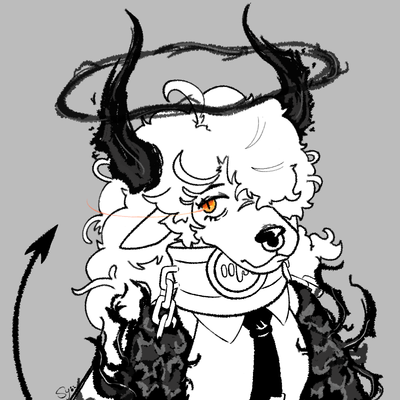 Sylas 🐺 (C**MS OPEN) tweet media