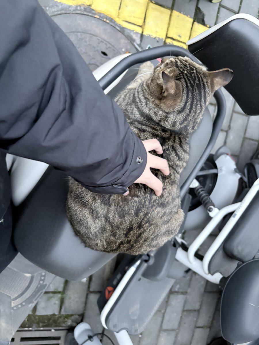 Hungry (@jieff96603695) on Twitter photo 