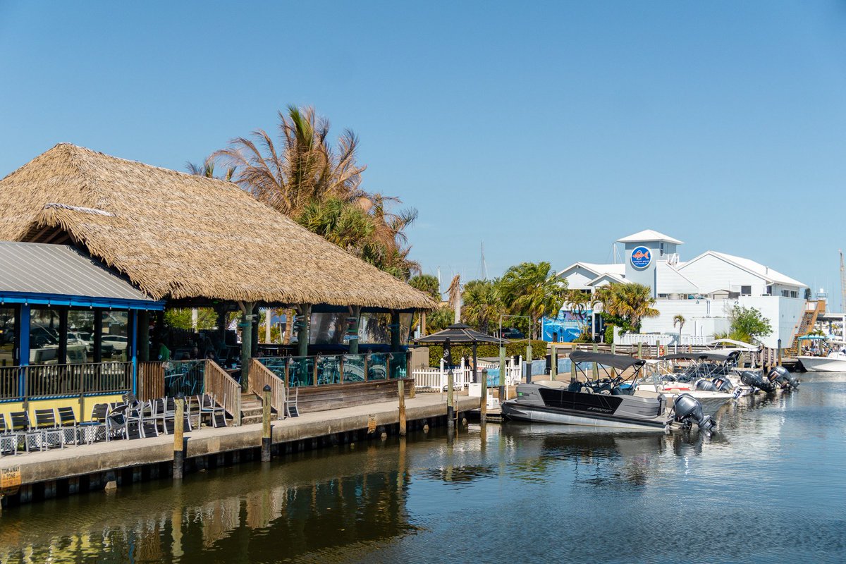 DiscoverMartin tweet media