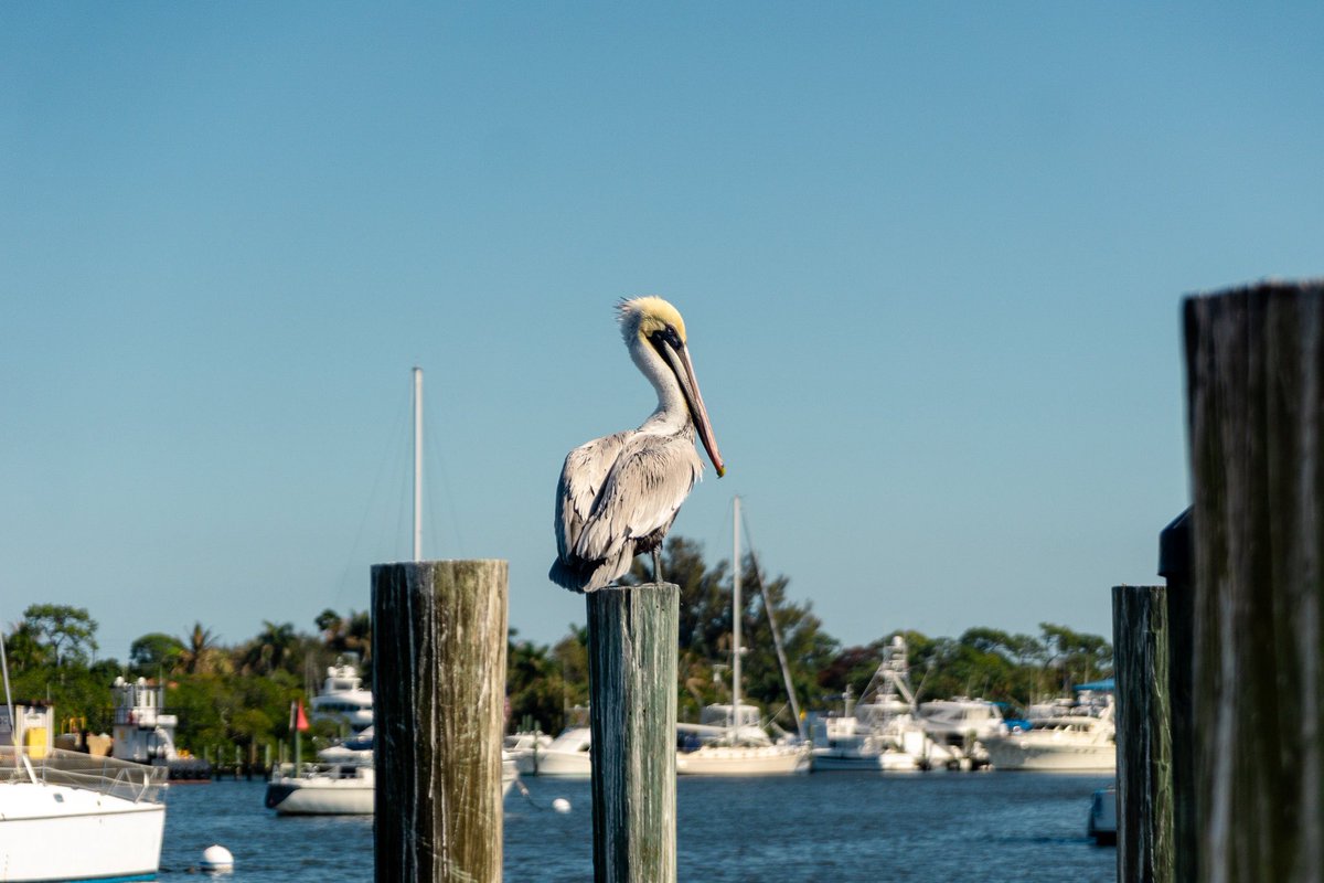 DiscoverMartin tweet media