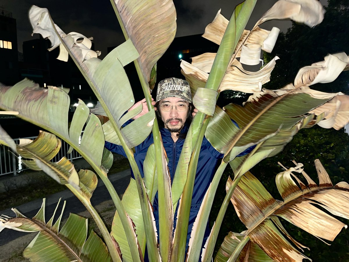 田中俊行🦄🐲🐉🐛🦚👶🧑🏿‍🦱🐸👦🏽 (@tetsu_gamon) / Posts / X