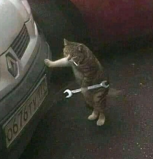 أيمن محمد tweet media