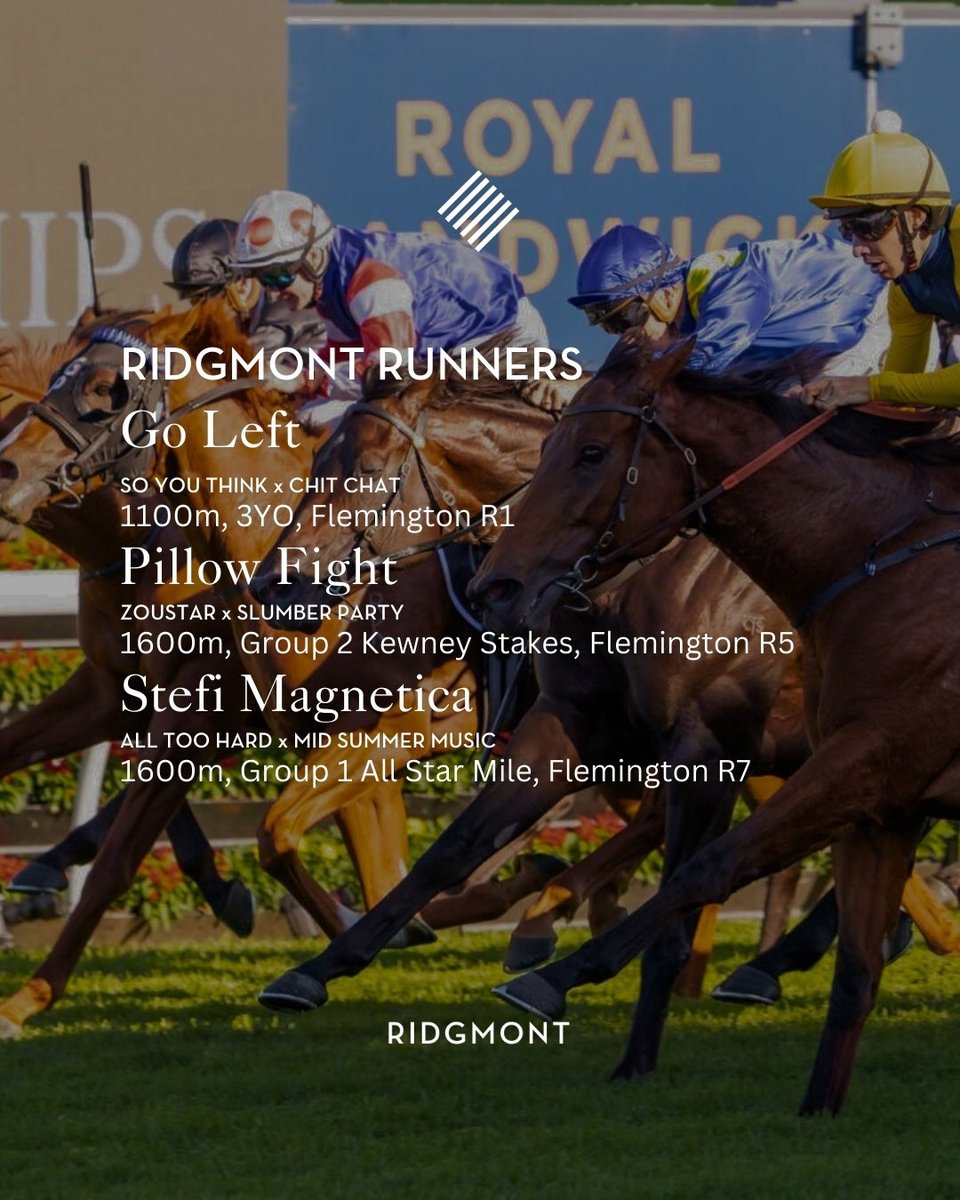 ridgmont_'s tweet photo. Ridgmont Runners | 07.03.26

Stefi Magnetica (All Too Hard x Mid Summer Music)
1600m, Group 1 All-Star Mile, Flemington R7

Providence (Wootton Bassett x Southbank) 1600m, Group 1 Randwick Guineas, Randwick R8

Paradoxium (Extreme Choice x Paredo) 
1200m, Group 2 Todman Stakes, Randwick R2

Pillow Fight (Zoustar x Slumber Party) 
1600m, Group 2 Kewney Stakes, Flemington R5
            
Horseshoe Hill (All Too Hard x Miss Rose de Lago) & Beadman (Snitzel x Iffranesia)
1100m, Listed Fireball Stakes, Randwick R5
            
Go Left (So You Think x Chit Chat)
1100m, 3YO Handicap, Flemington R1

#ridgmont #ridgmontrunners